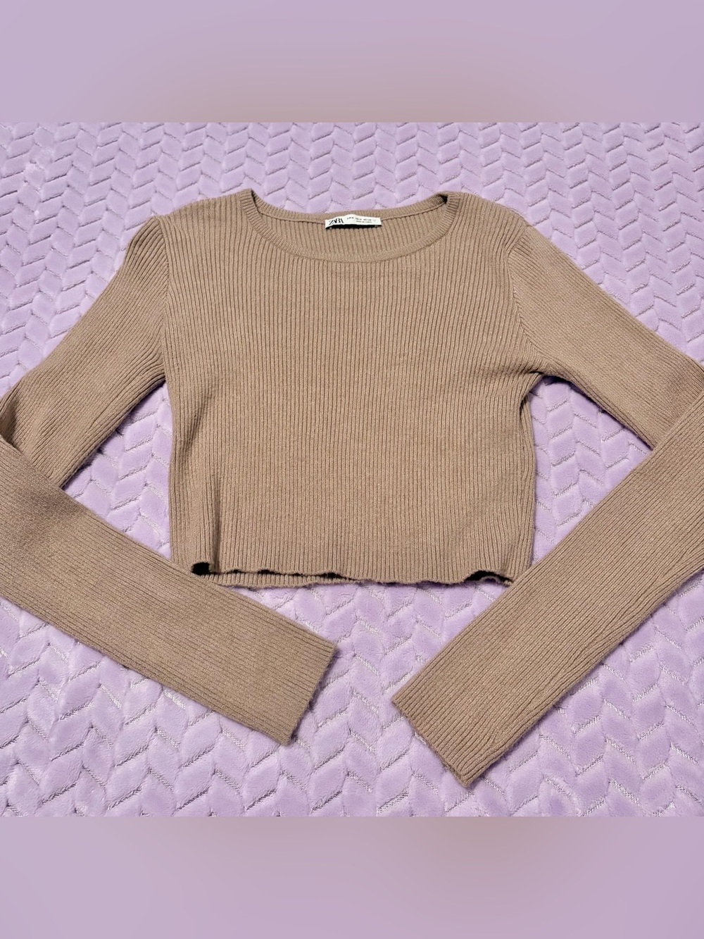 Zara Ribbed Cropped Long-Sleeve Sweater-Like Top in Tan